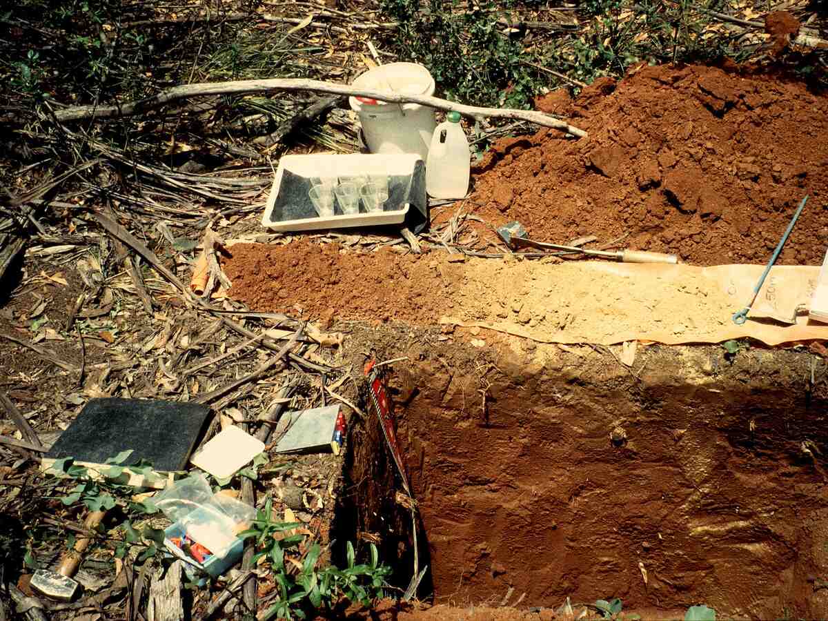 Environmental Due Diligence Coordination, illustrative photo